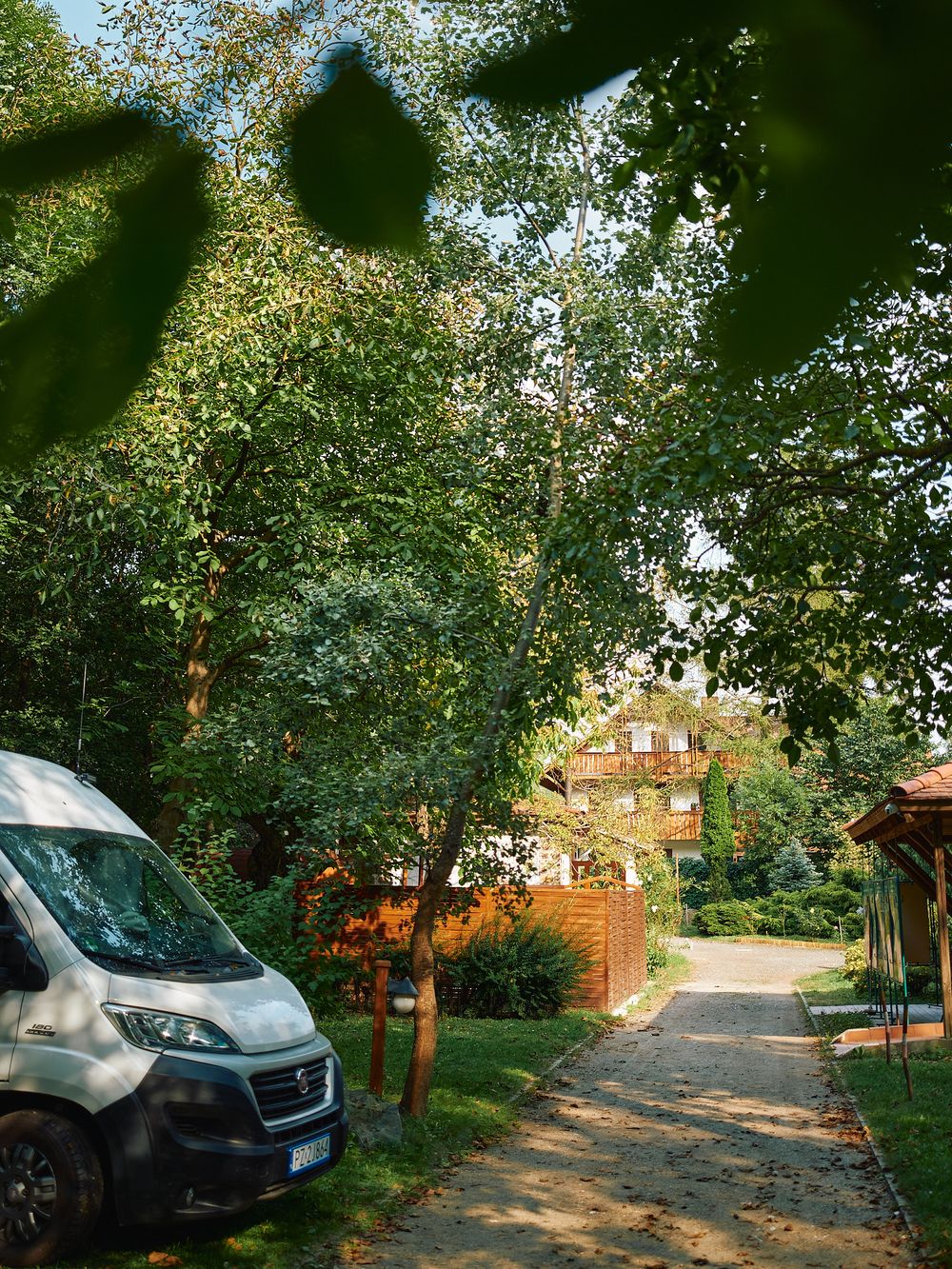 White camping van parked on tree-lined driveway near wooden buildings.