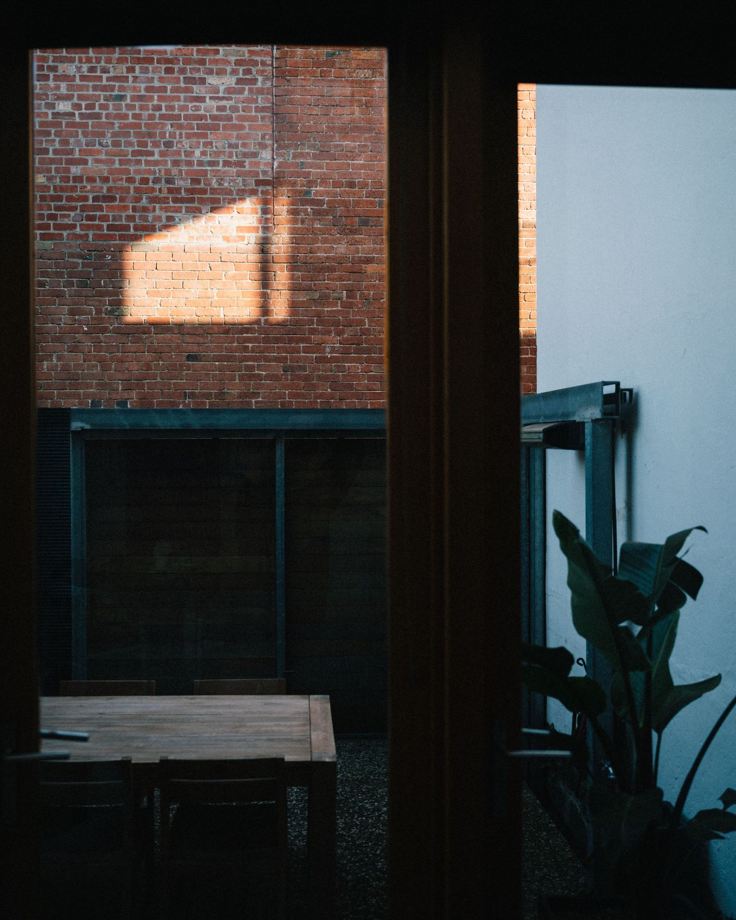 Sunlit brick wall and indoor plant viewed through window frame at sunset.