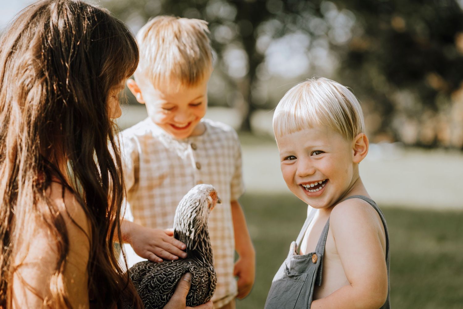Child in overalls laughing while looking at a speckled chicken outdoors.