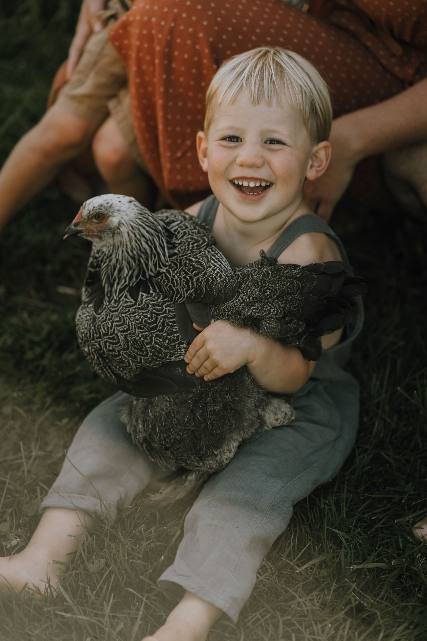 A delighted young child in overalls holding a speckled chicken outdoors.