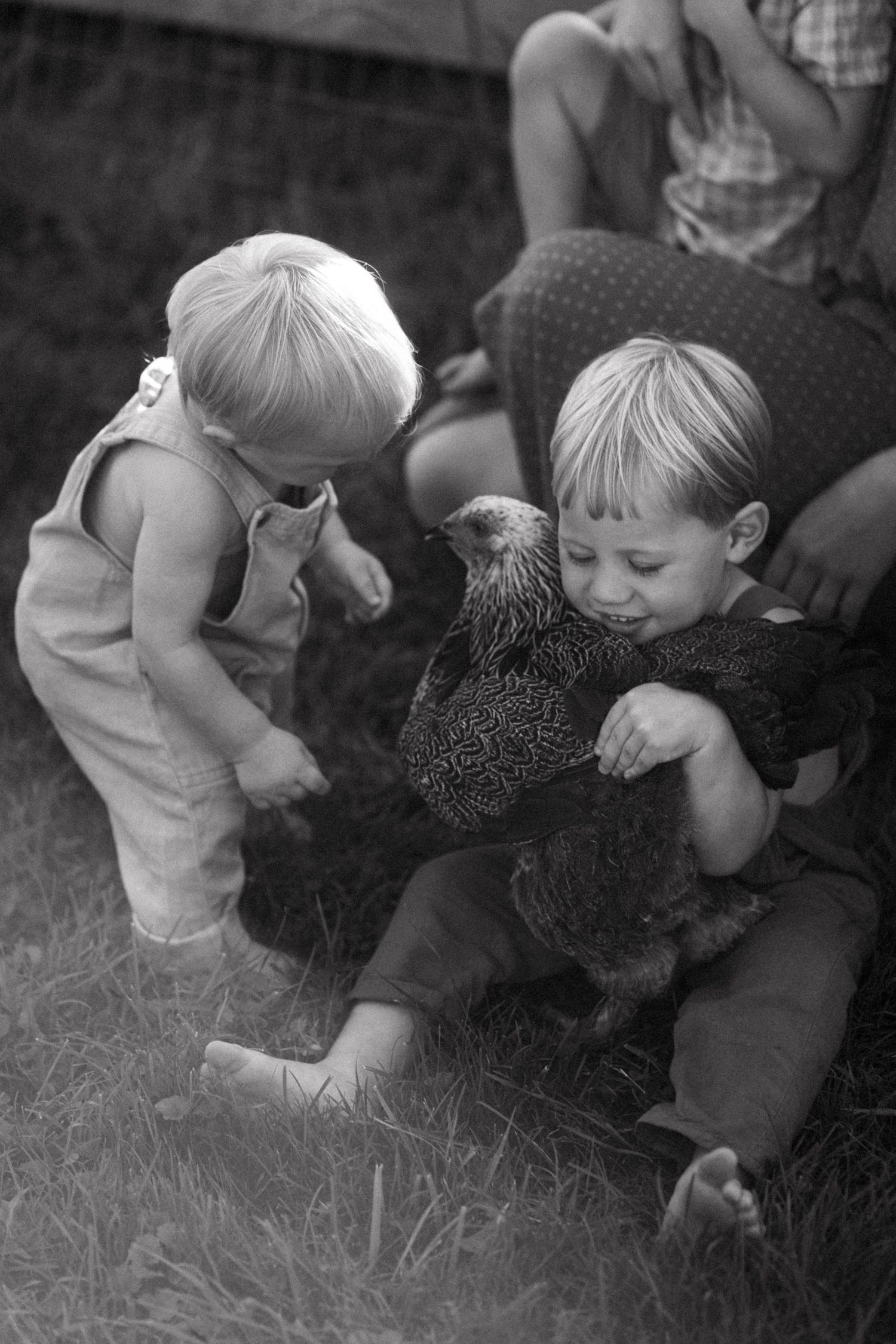 Two small children in black and white photography interacting with a chicken.