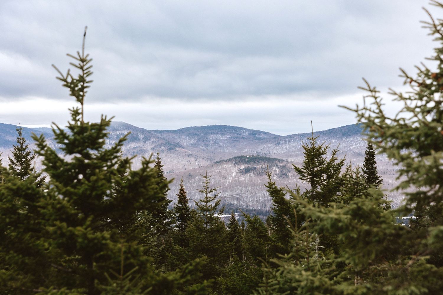 Scenic mountain landscape with evergreen trees and snow-capped peaks under cloudy skies.