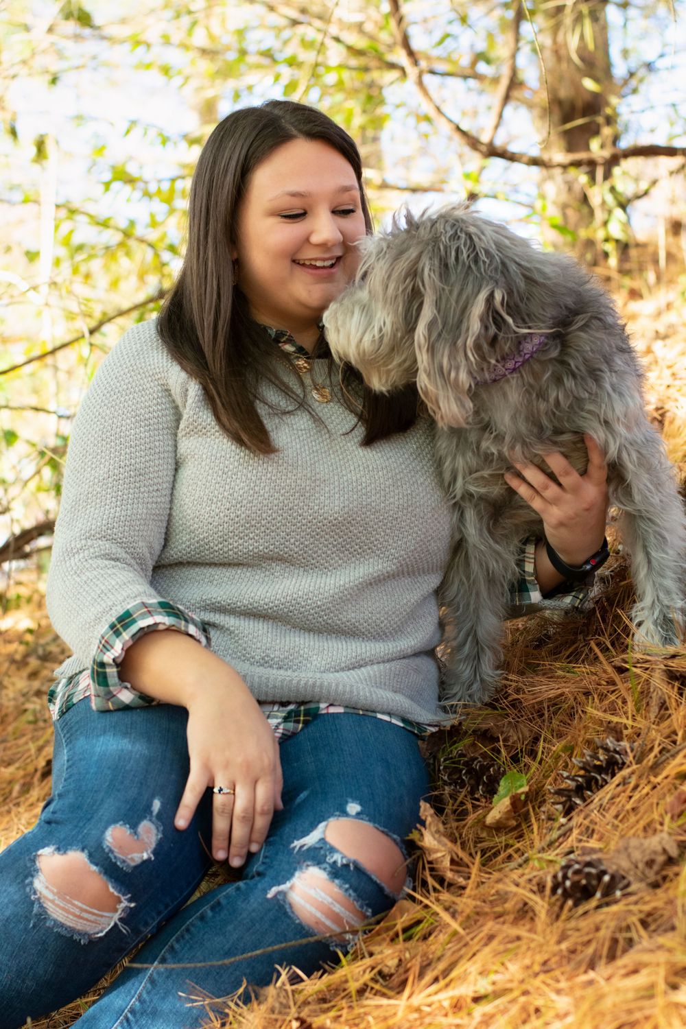 A shaggy grey dog and person share a playful moment in an autumn forest setting.