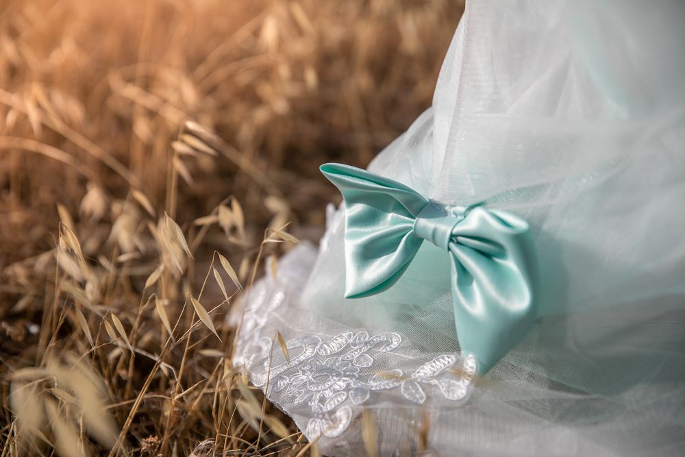 Close-up of a light blue bow tie of a dress