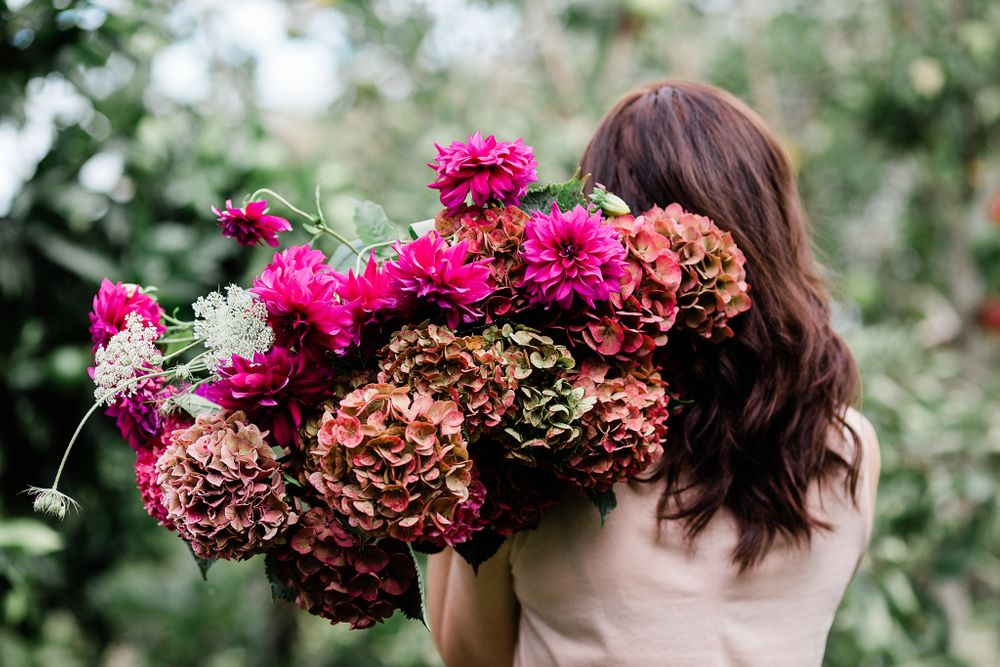 flower photo