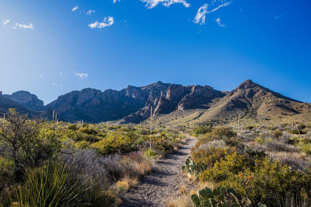 Chisos Basin