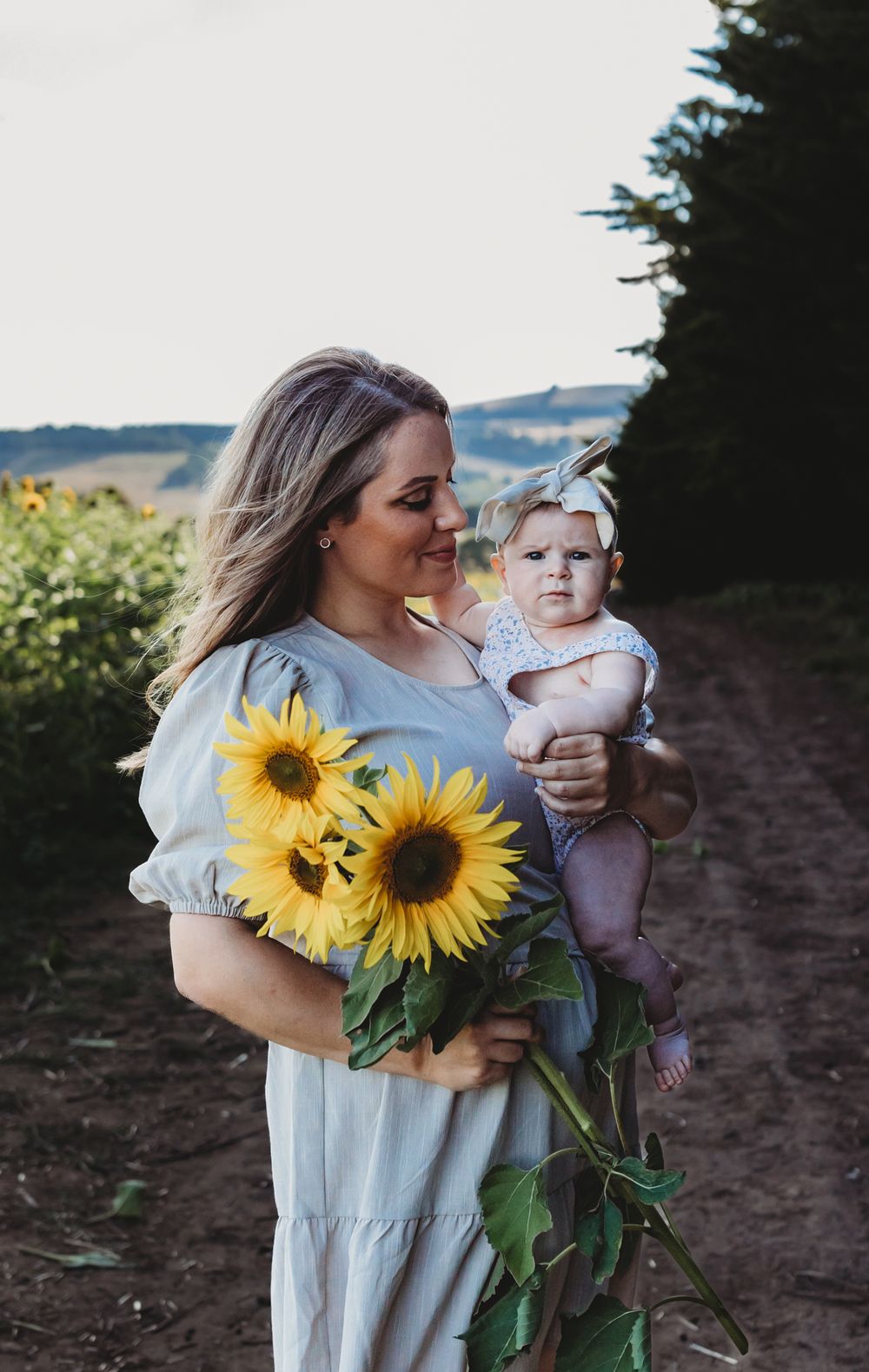 Sunflower portraits