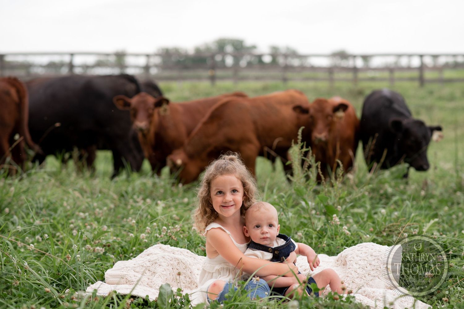 Two children sit on a blanket in a grassy field with brown and black cows grazing in the background.