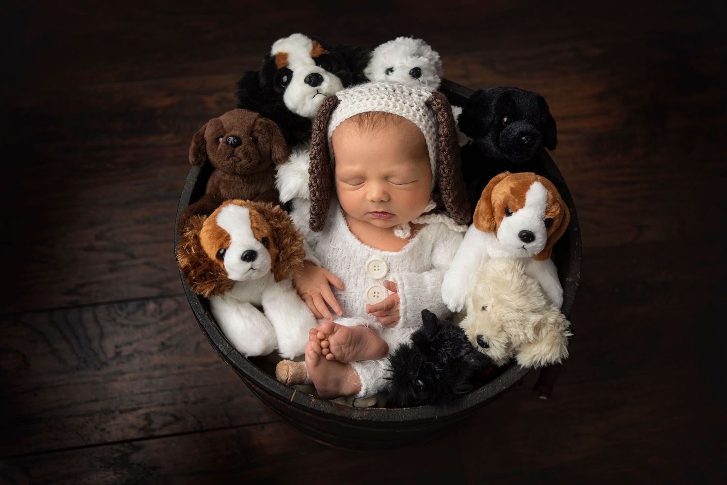 Newborn baby posed in wooden bowl surrounded by plush puppy toys in studio setting.