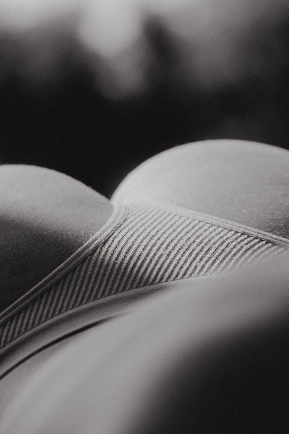 Macro black and white photograph of open book pages with shallow depth of field.