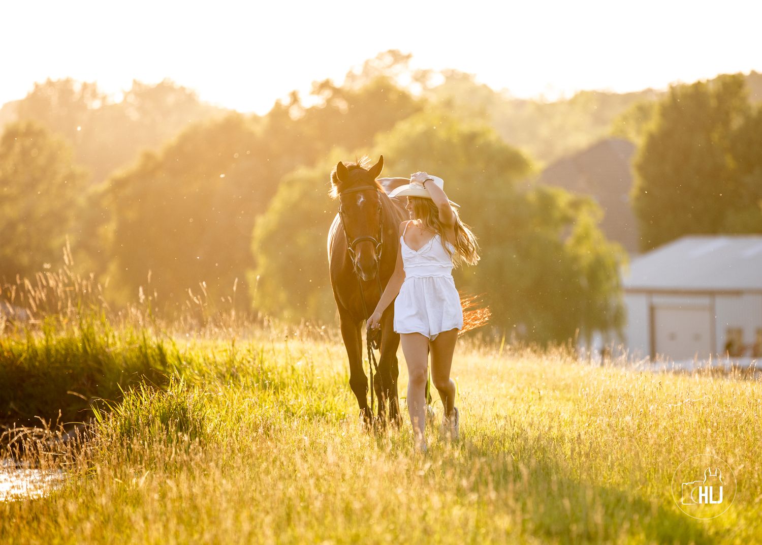 A horse and companion walking through a golden sunlit field at sunset.