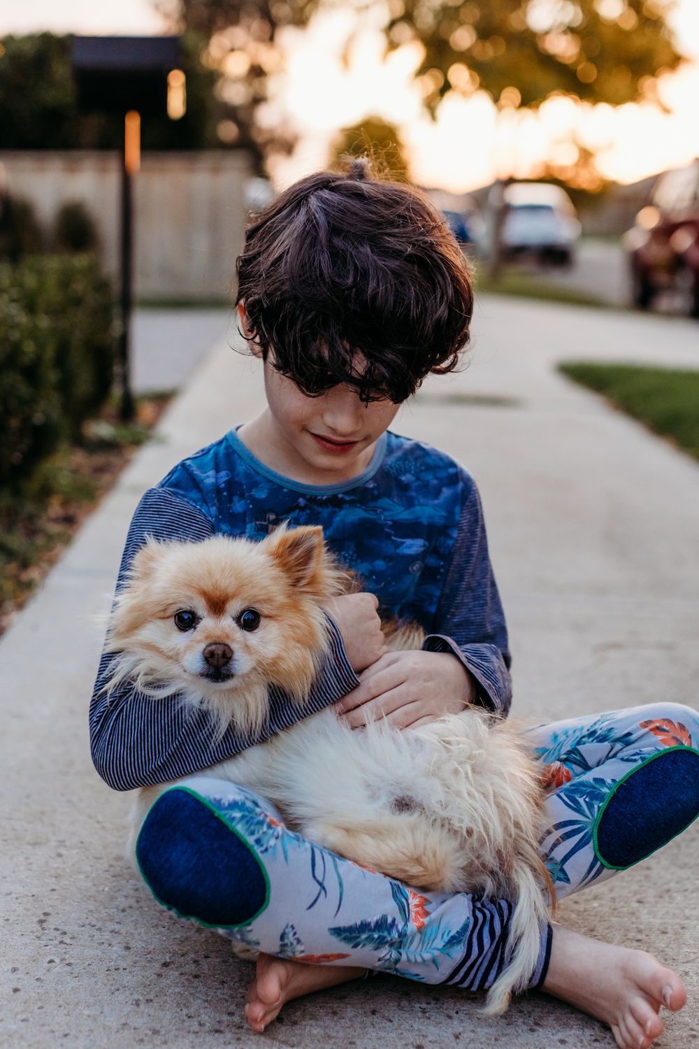 pet photography