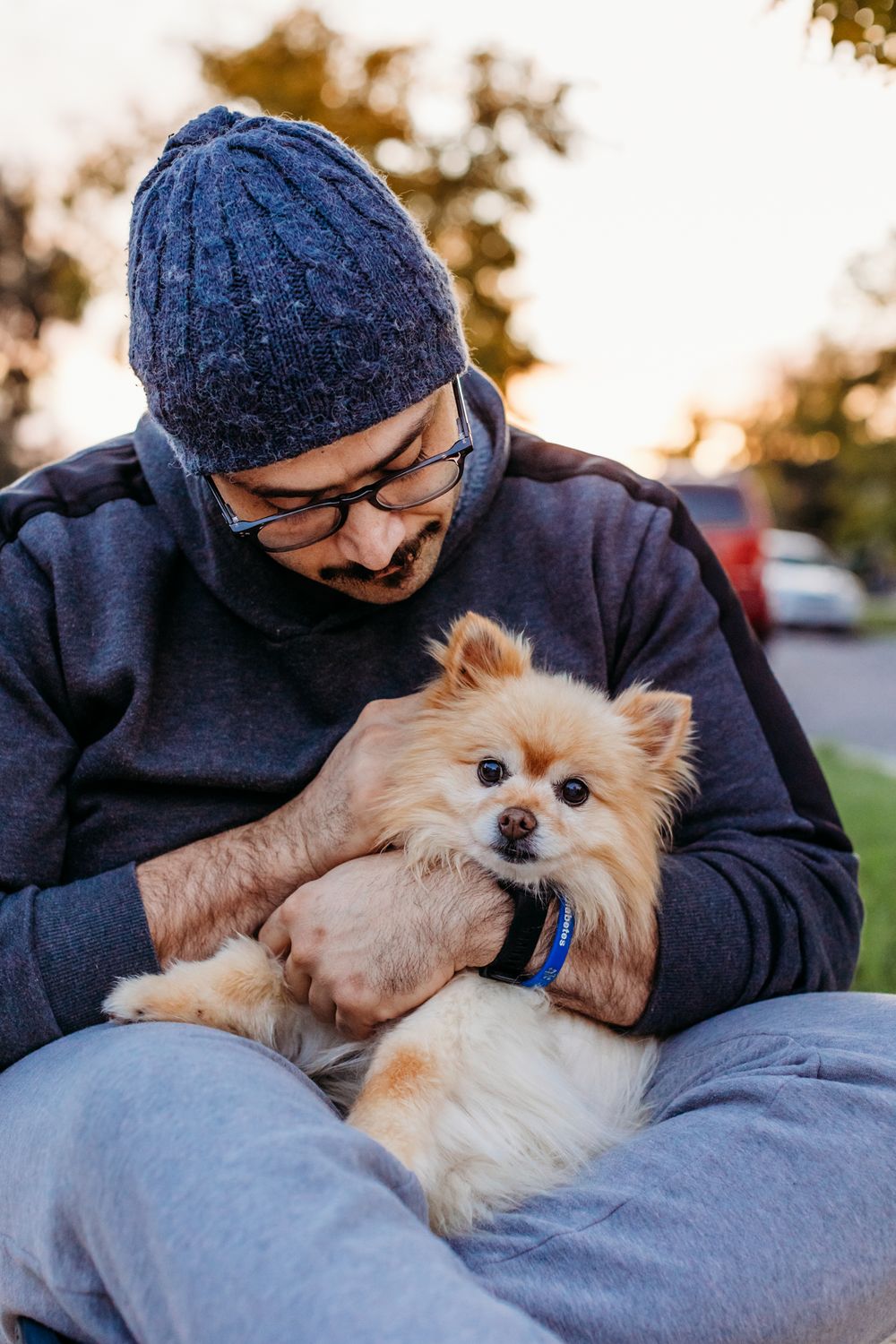 pet photography