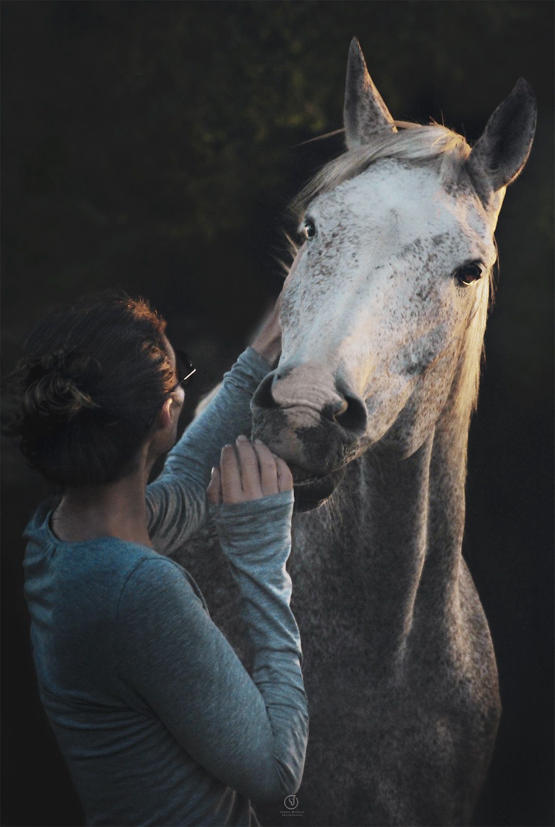 equestrian portraiture