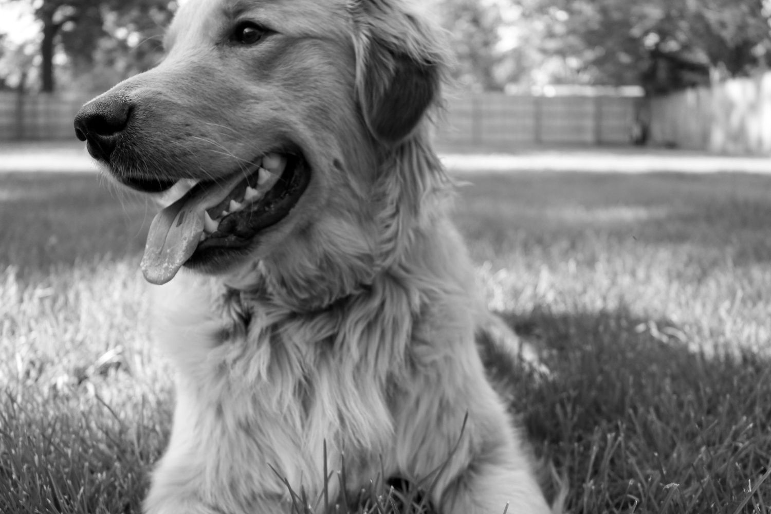Charlie