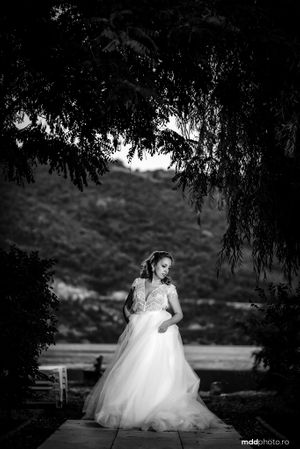 Dramatic black and white bridal portrait under weeping willow branches with mountains in background.