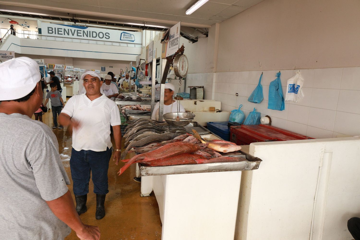 Interior view of a busy fish market with vendors and display counters.