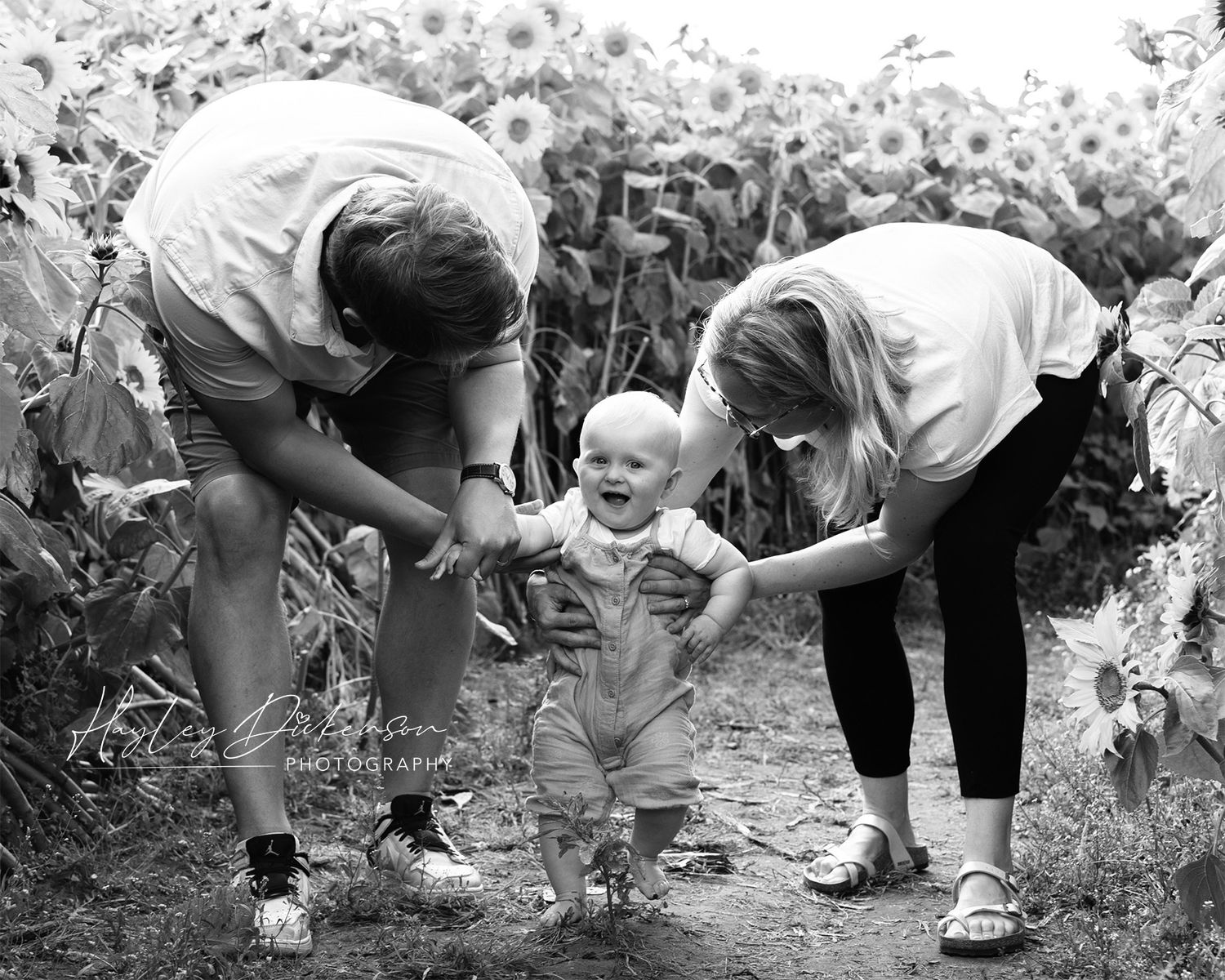 Hayley Dickenson Photography Studio - mum and dad helping baby girl to walk in the sunflowers