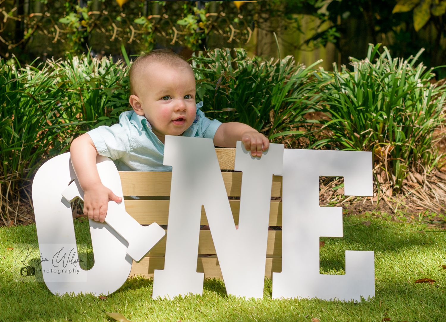 1st Birthday, Photographer Charleston SC, Summerville, SC