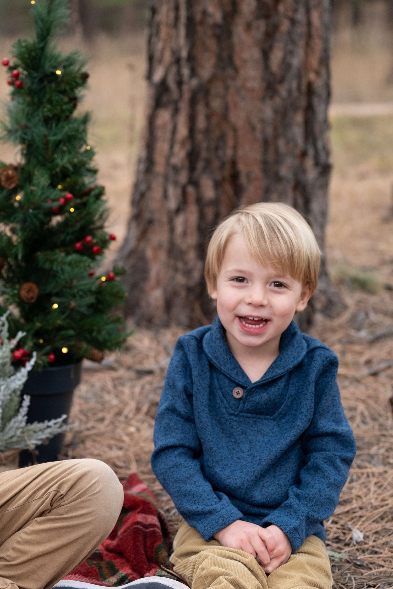 Holiday Mini Sessions in Colorado Springs