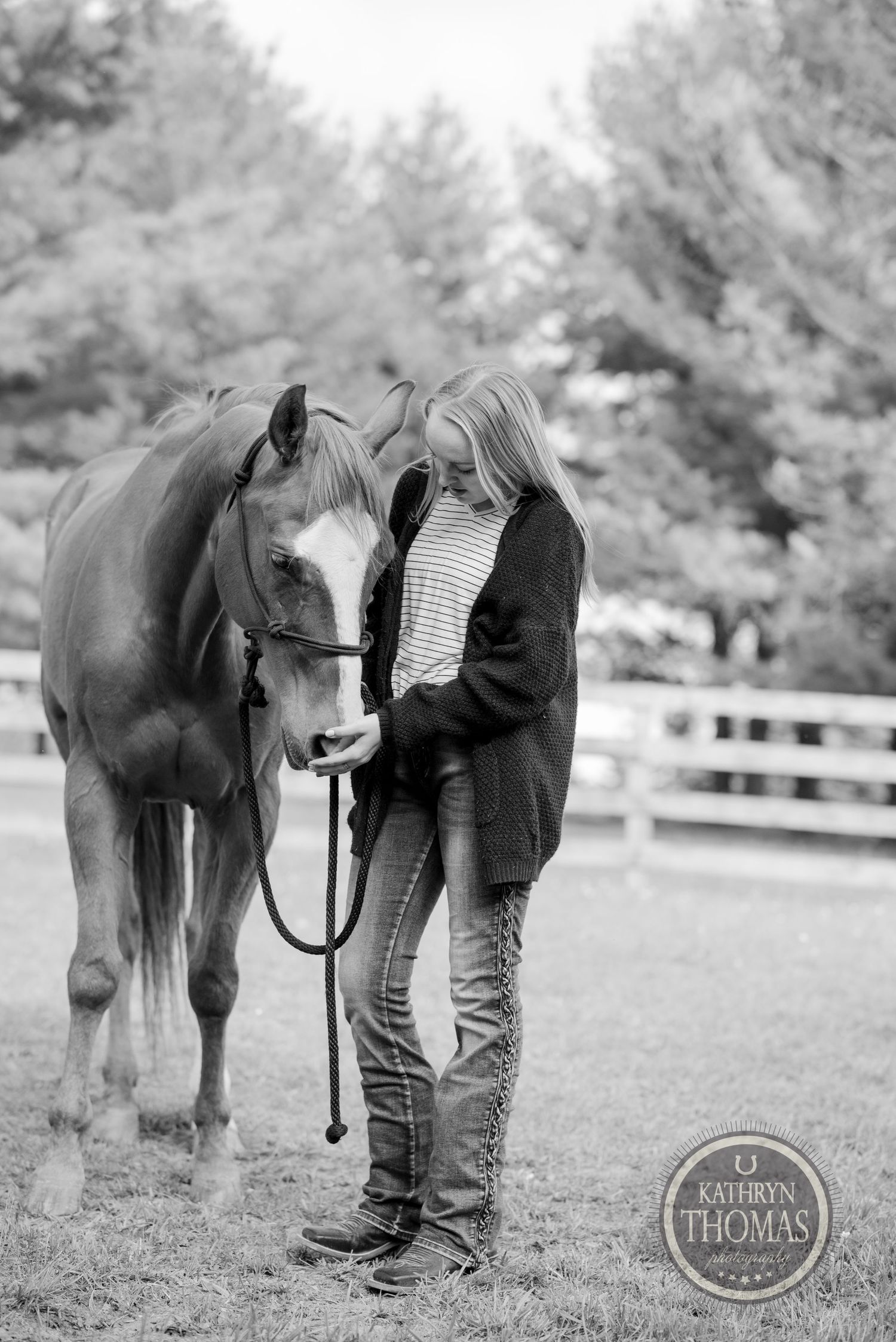 A black and white portrait of a horse and companion sharing a tender moment in a fenced field.