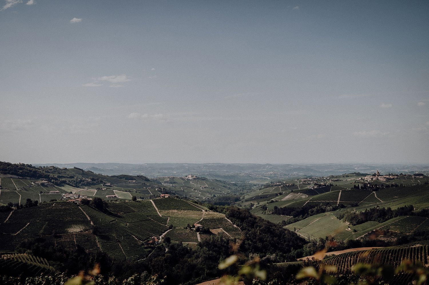 Panoramic view of rolling green vineyard hills stretching to the horizon under a clear blue sky in Italy.