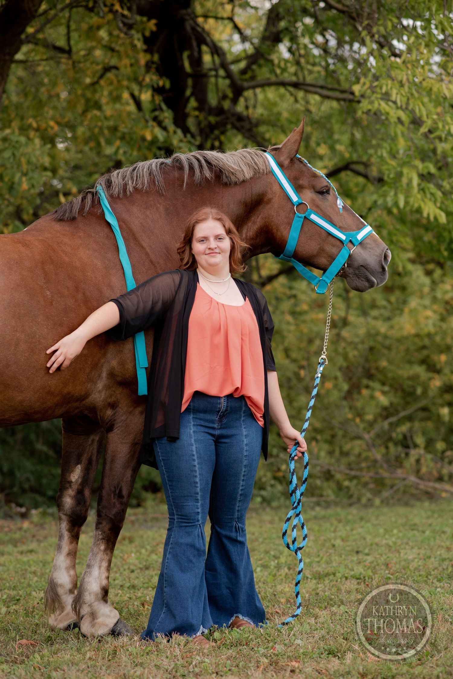 A brown horse wearing teal-colored tack stands in a grassy autumn setting.