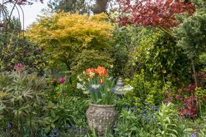 Summer garden