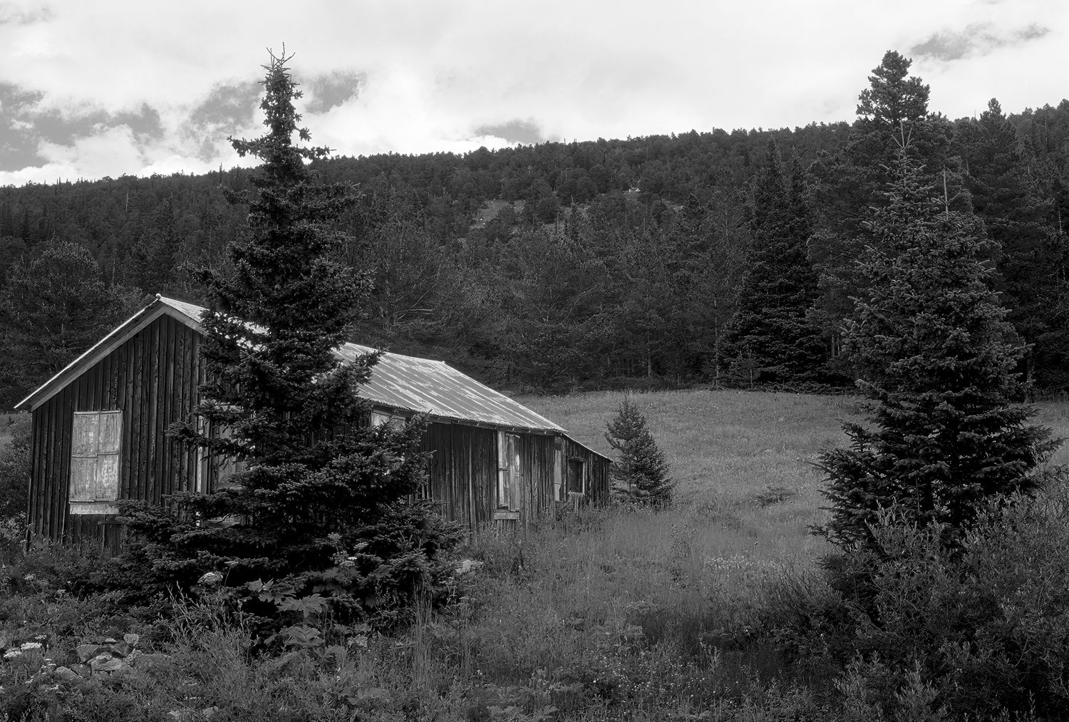 Alice, Colorado