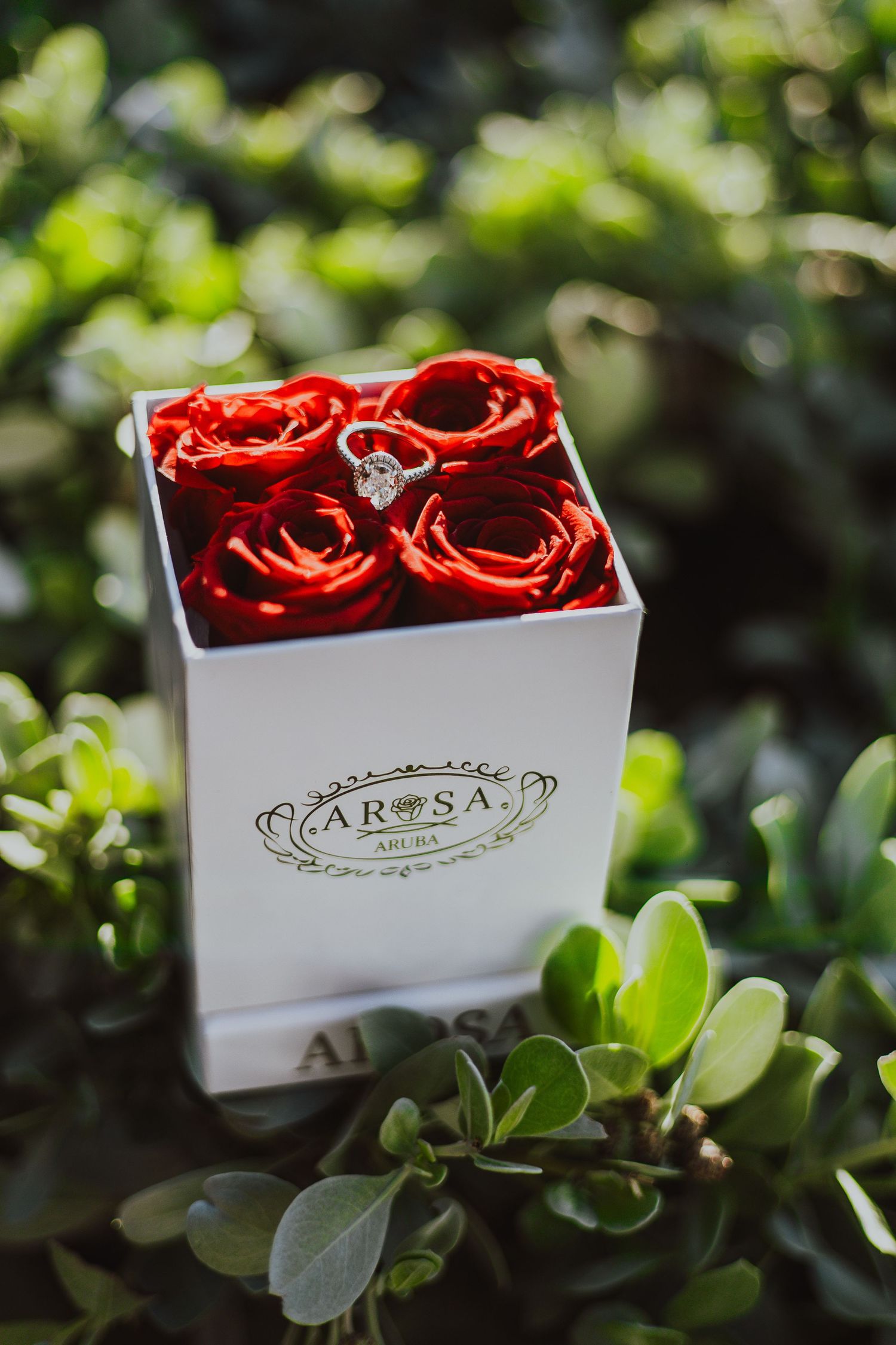 Aruba Proposal Photography