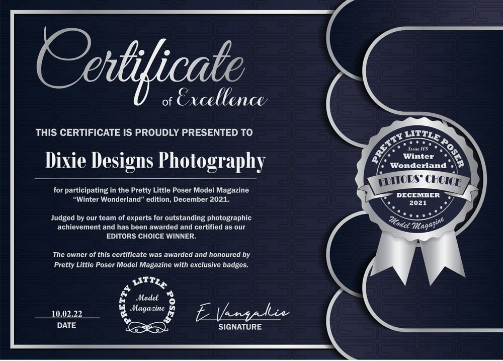 Certificate of Excellence awarded to Dixie Designs Photography for Winter Wonderland edition December 2021.