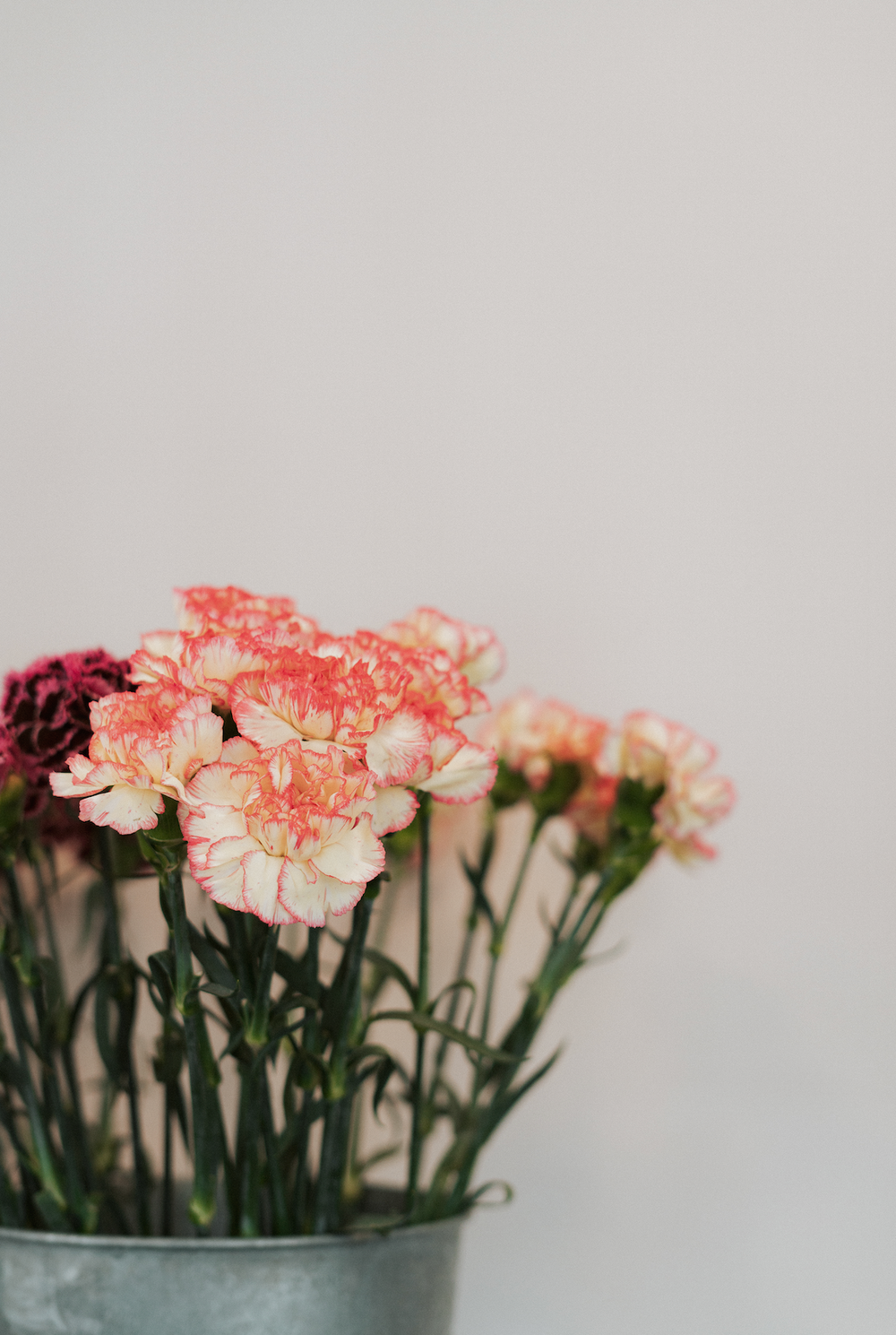 Shooting floral pour une fleuriste à Jacou