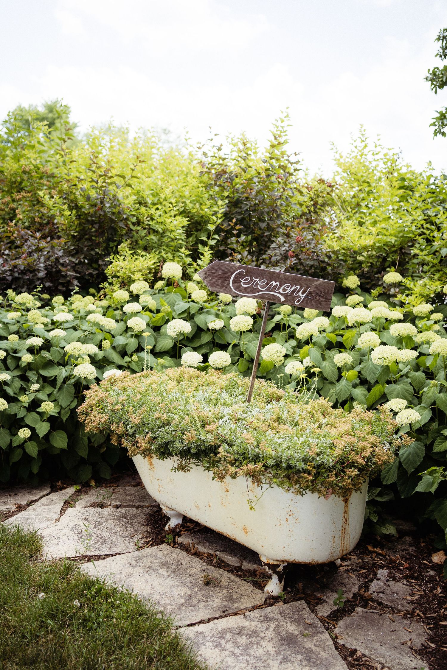 Vintage clawfoot bathtub filled with flowers and decorative plants in garden setting.