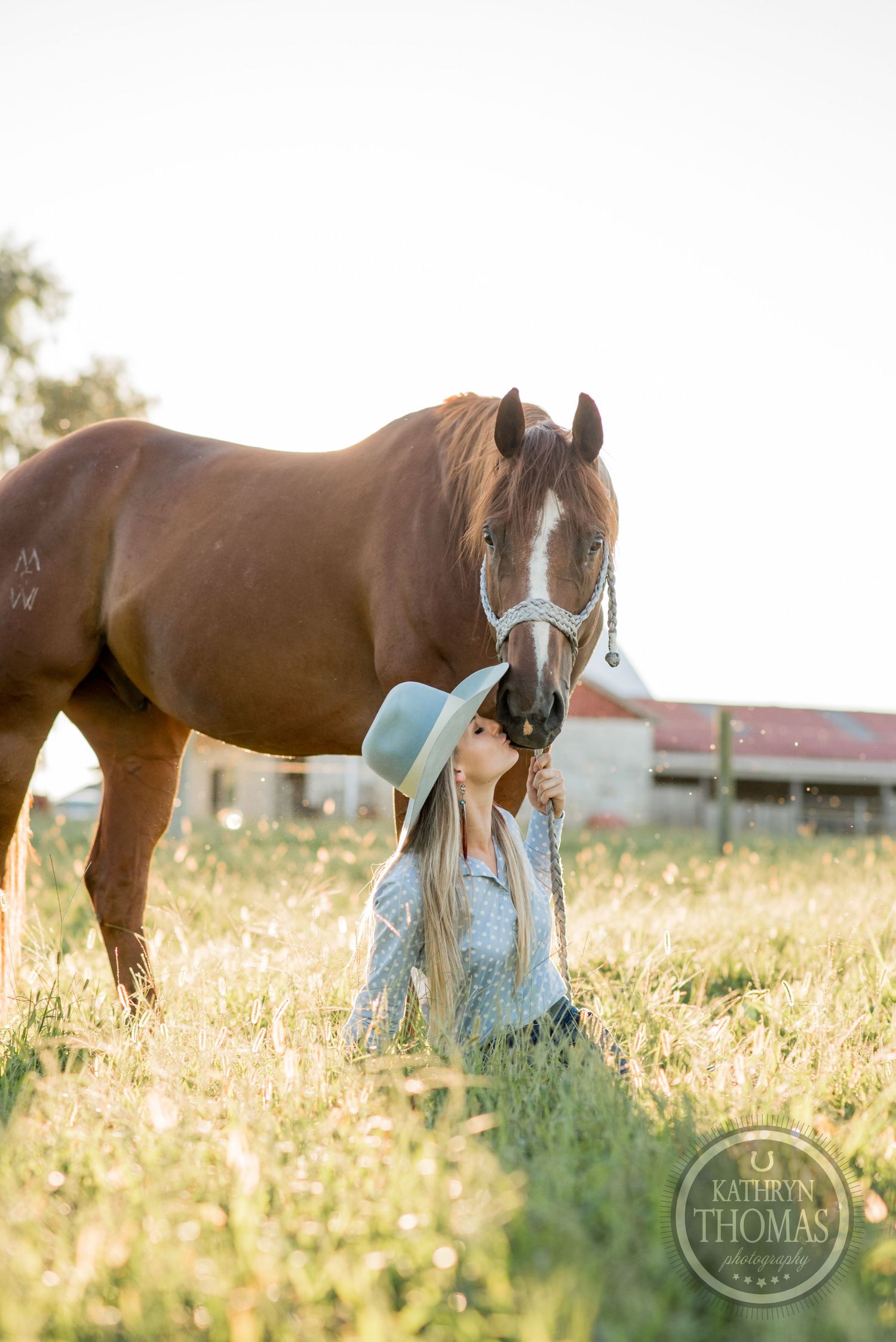 A beautiful brown horse stands in golden sunlit field with someone in western attire.