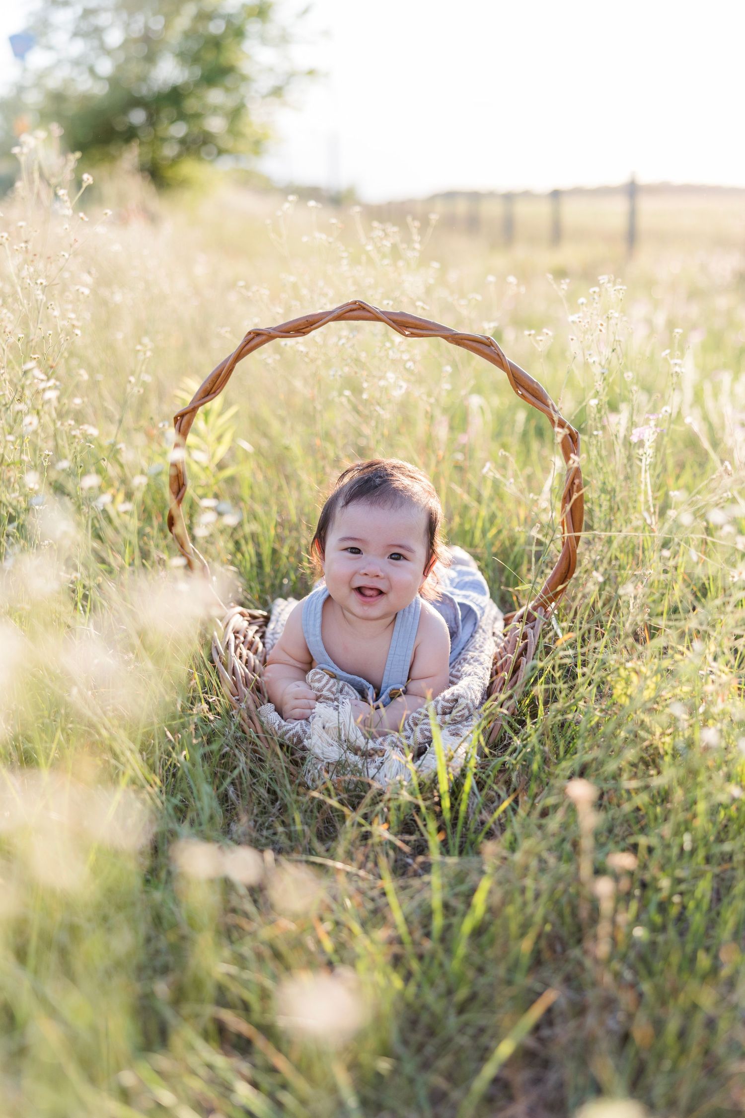 A baby lies in a woven basket surrounded by tall grass during a sunset photo session.