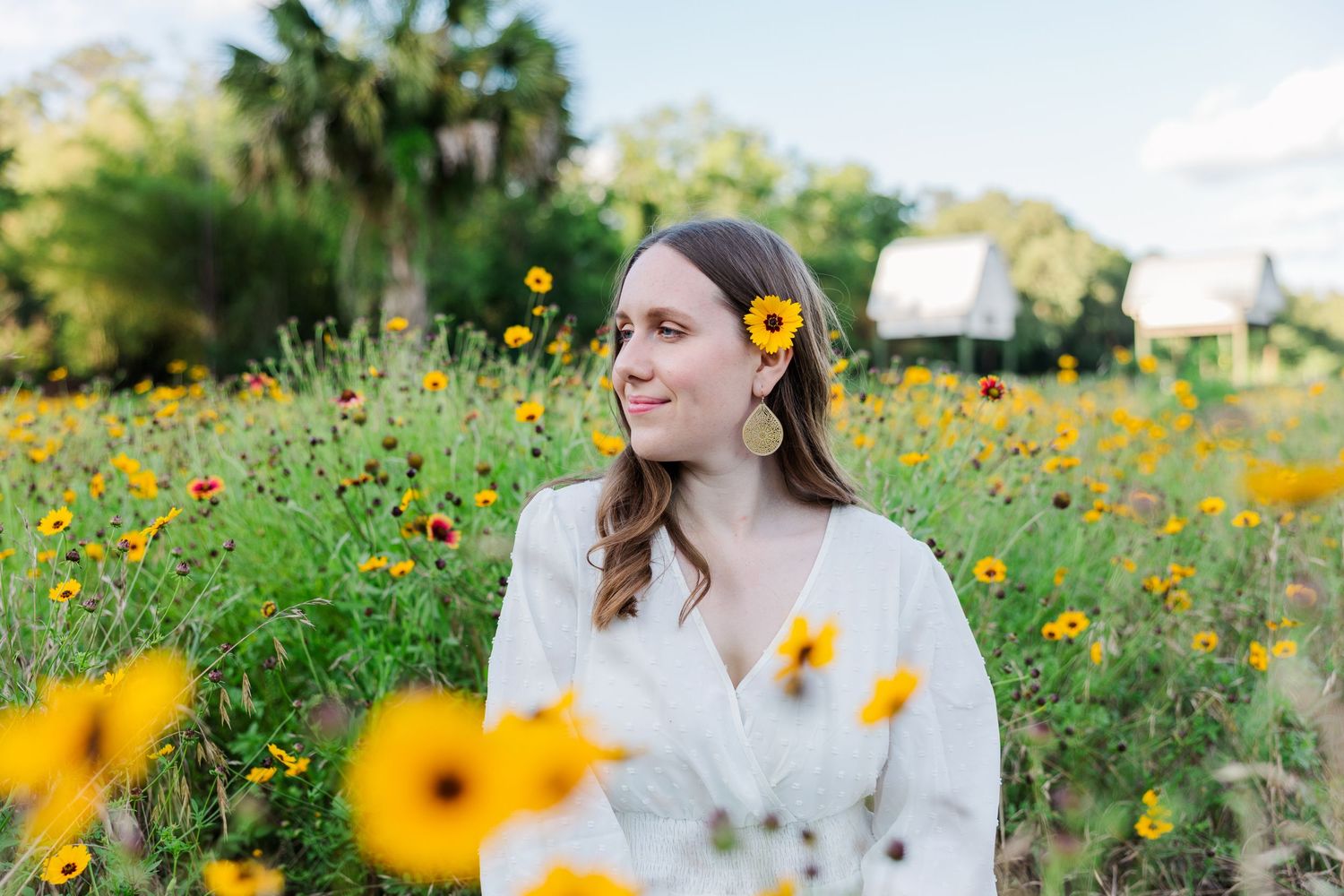 Yellow wildflowers bloom in a sunny meadow during a golden hour photo session.