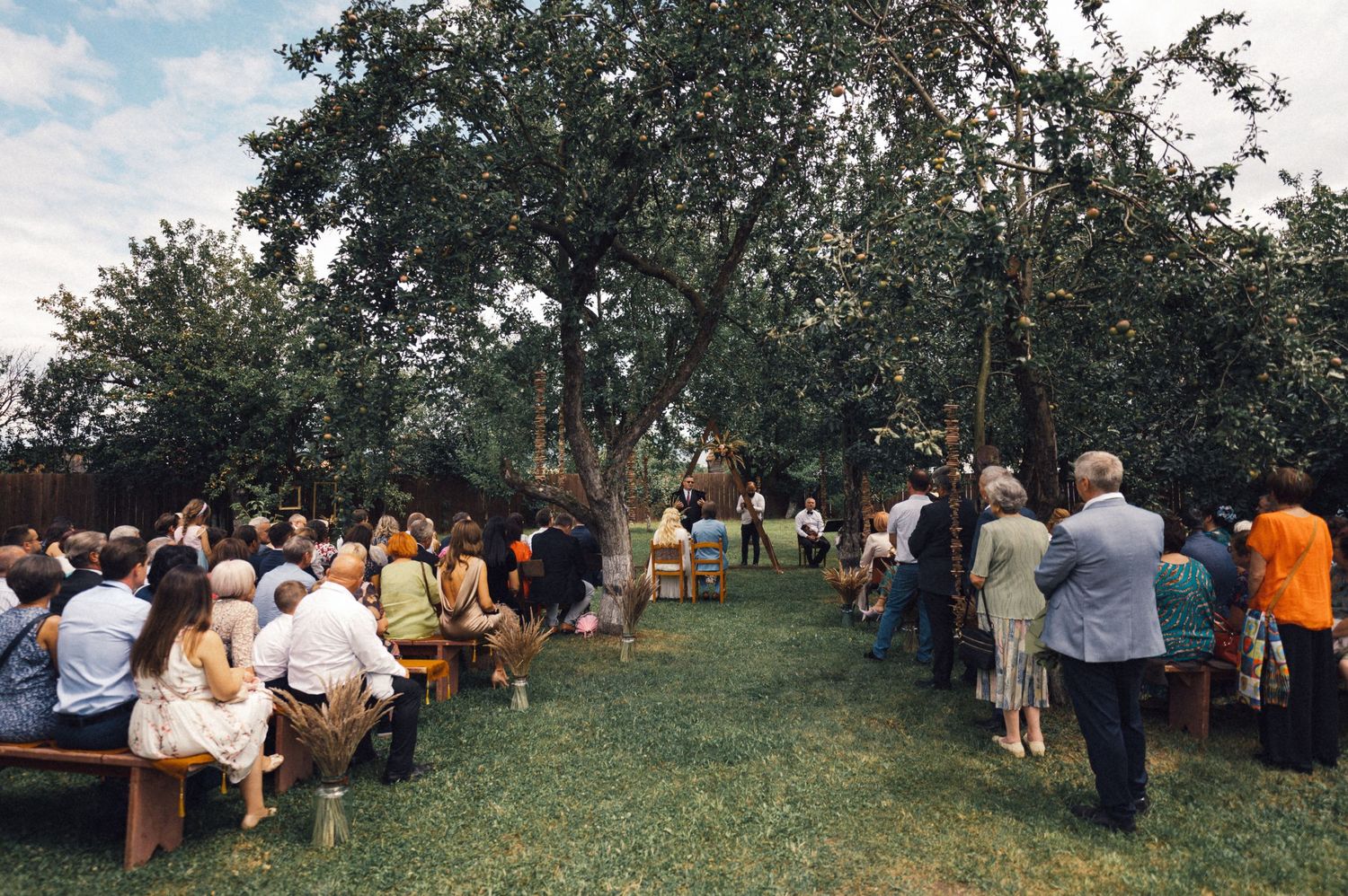 Outdoor event with people seated on wooden benches beneath tall trees.