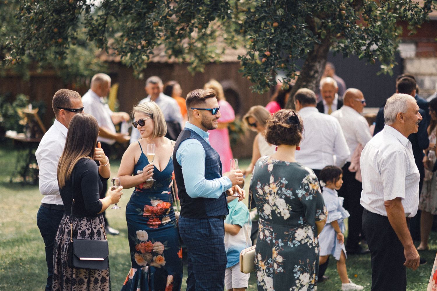 Casual outdoor wedding reception with guests mingling on a sunny lawn.
