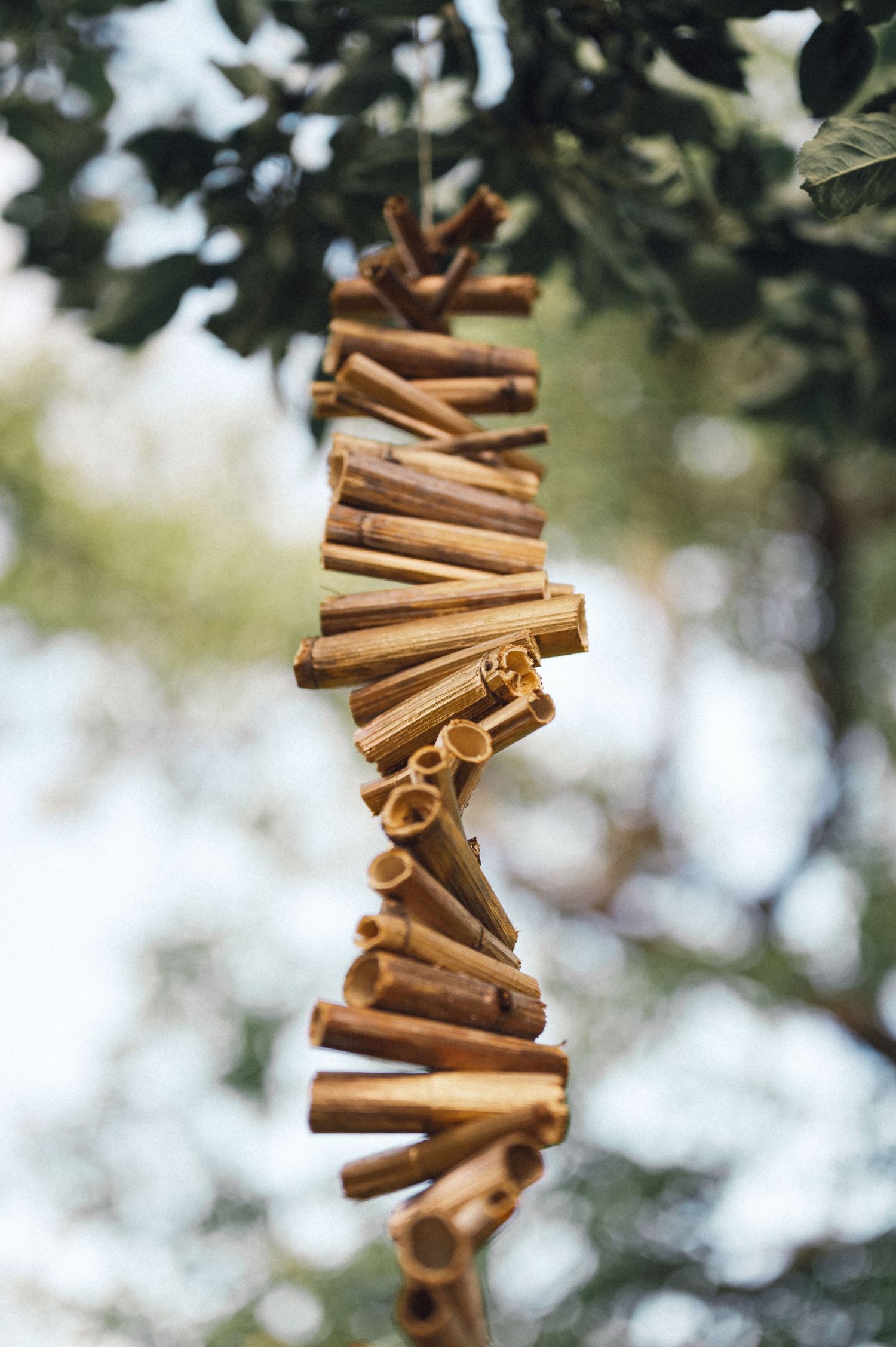 Decorative cinnamon stick garland hanging against blurred foliage background.