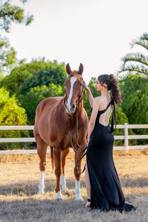A woman in an elegant black dress stands with a majestic horse in a paddock.