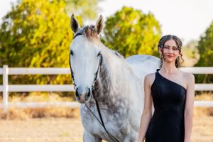 An elegant black evening dress and a graceful white horse pose together in front of a wooden fence at sunset.