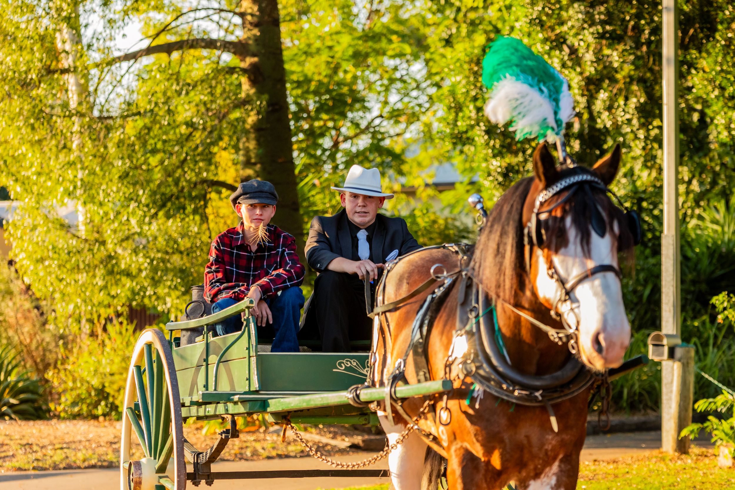 A horse-drawn carriage ride through an autumn park with colorful foliage in the background.