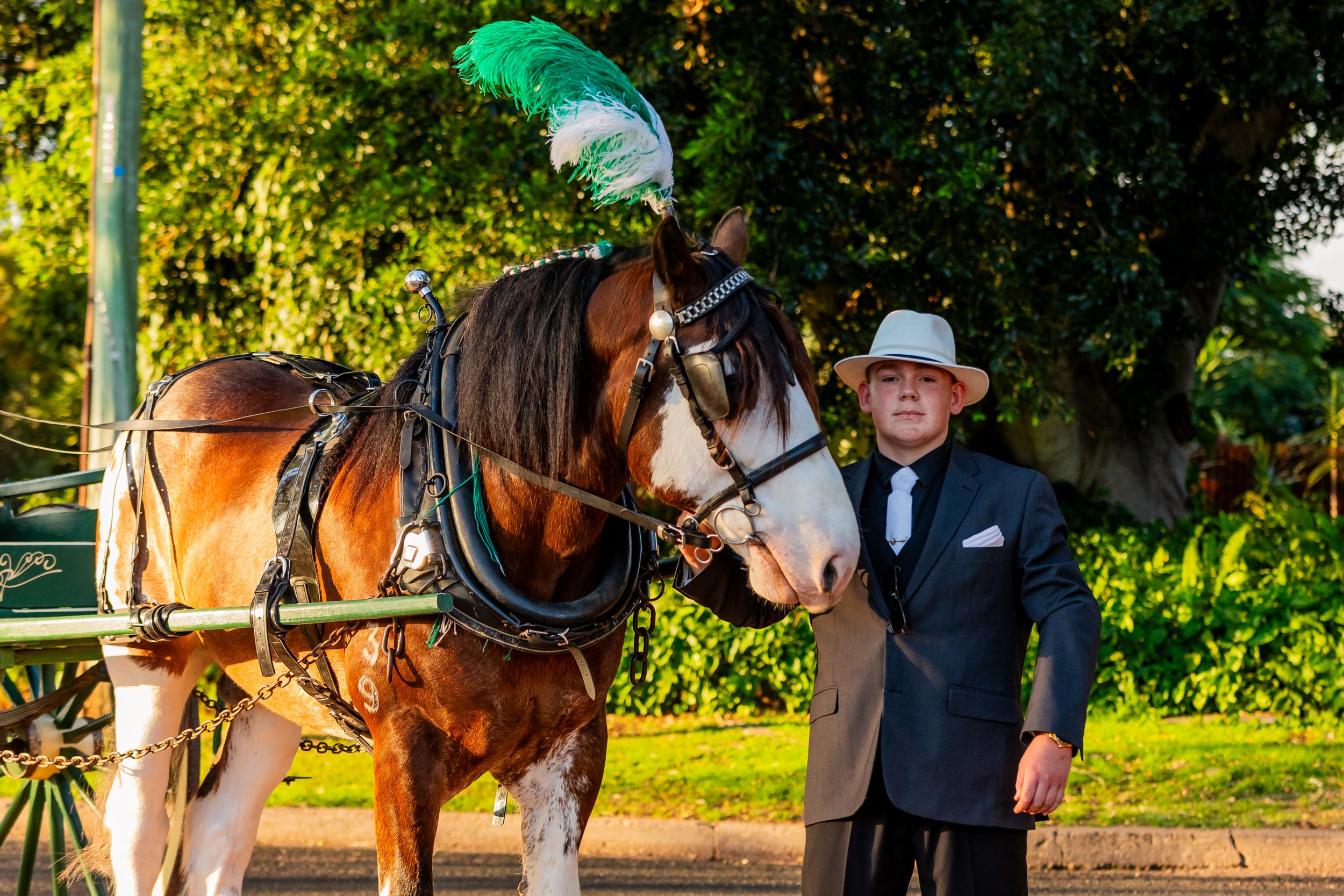 A well-dressed individual stands beside a majestic Clydesdale horse with a green feather plume at a golden hour event.