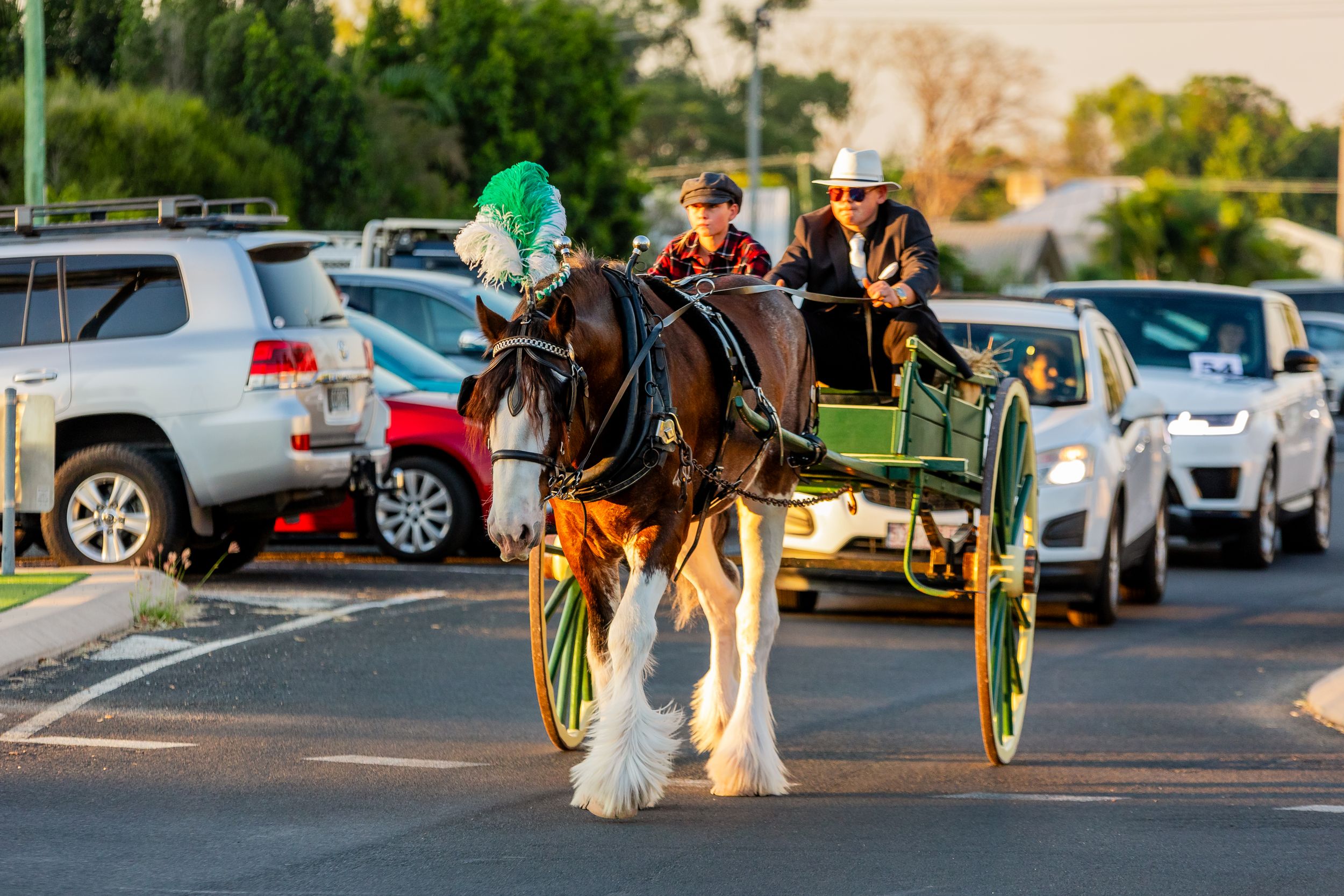 A magnificent Clydesdale horse pulls a traditional green carriage through a parking lot at sunset.