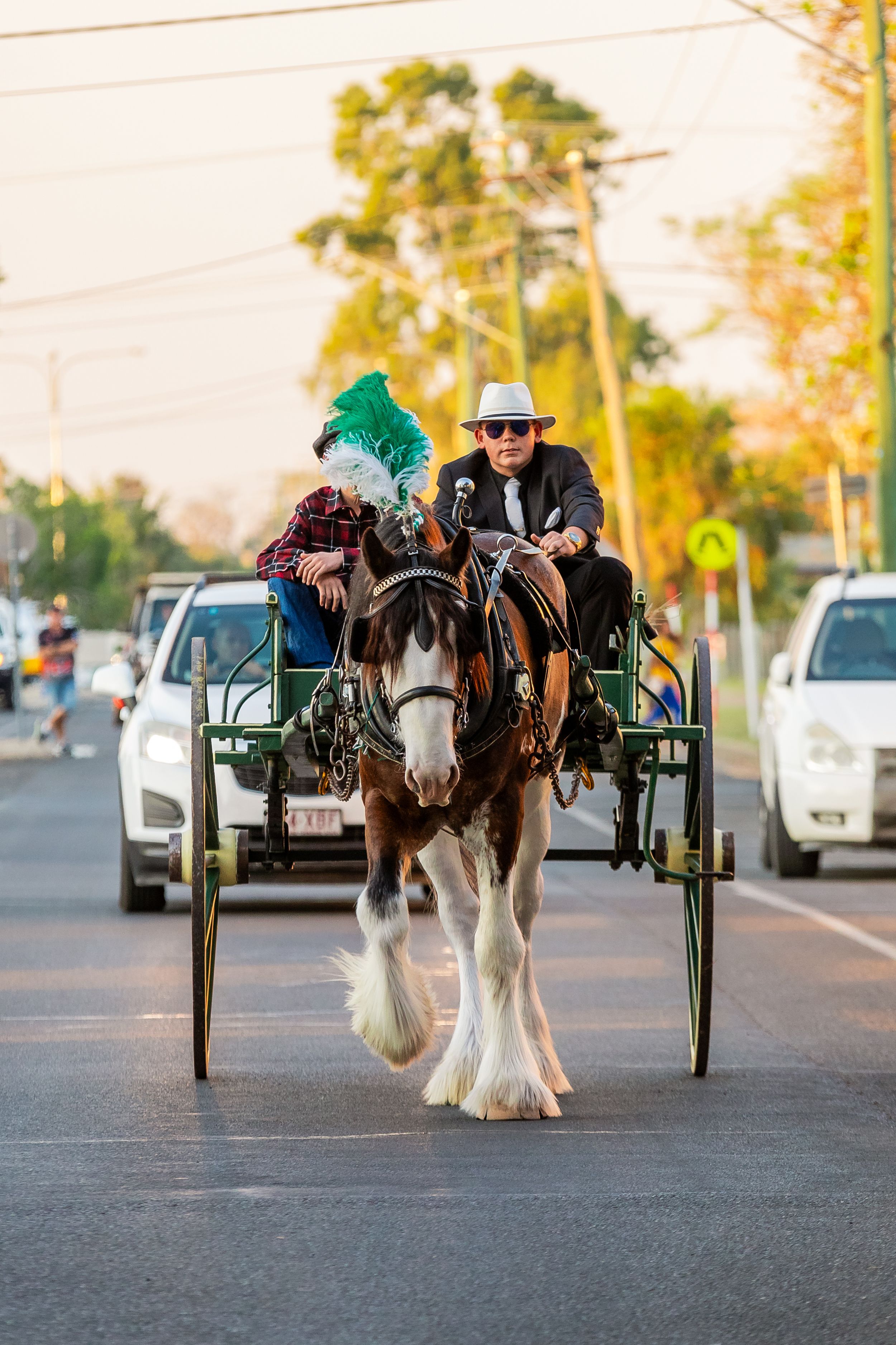 A Clydesdale horse with feathered hooves pulls a carriage through city streets with cars in background.