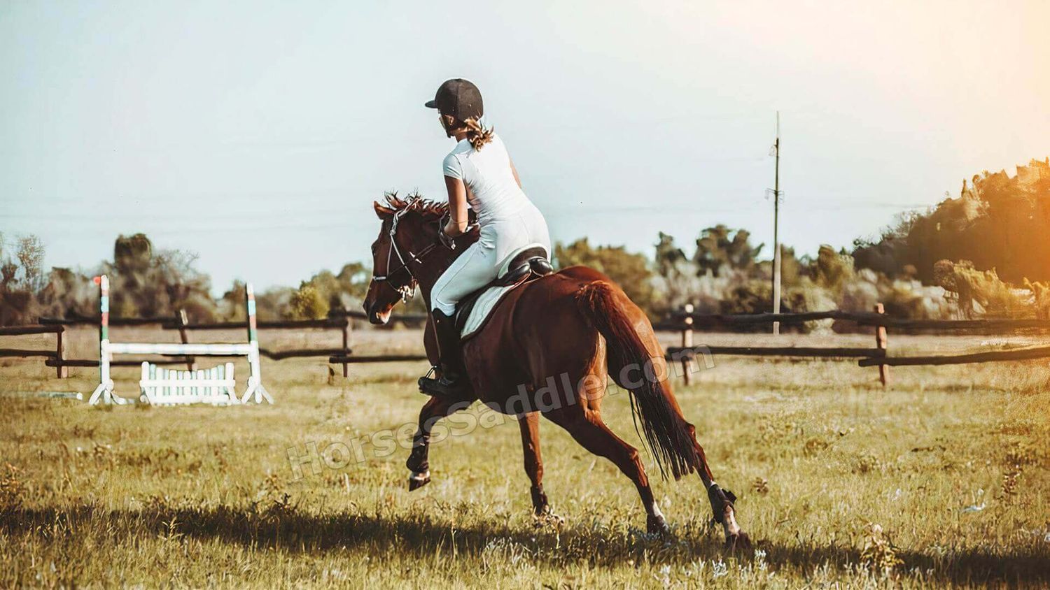 Horse Saddle for Sale