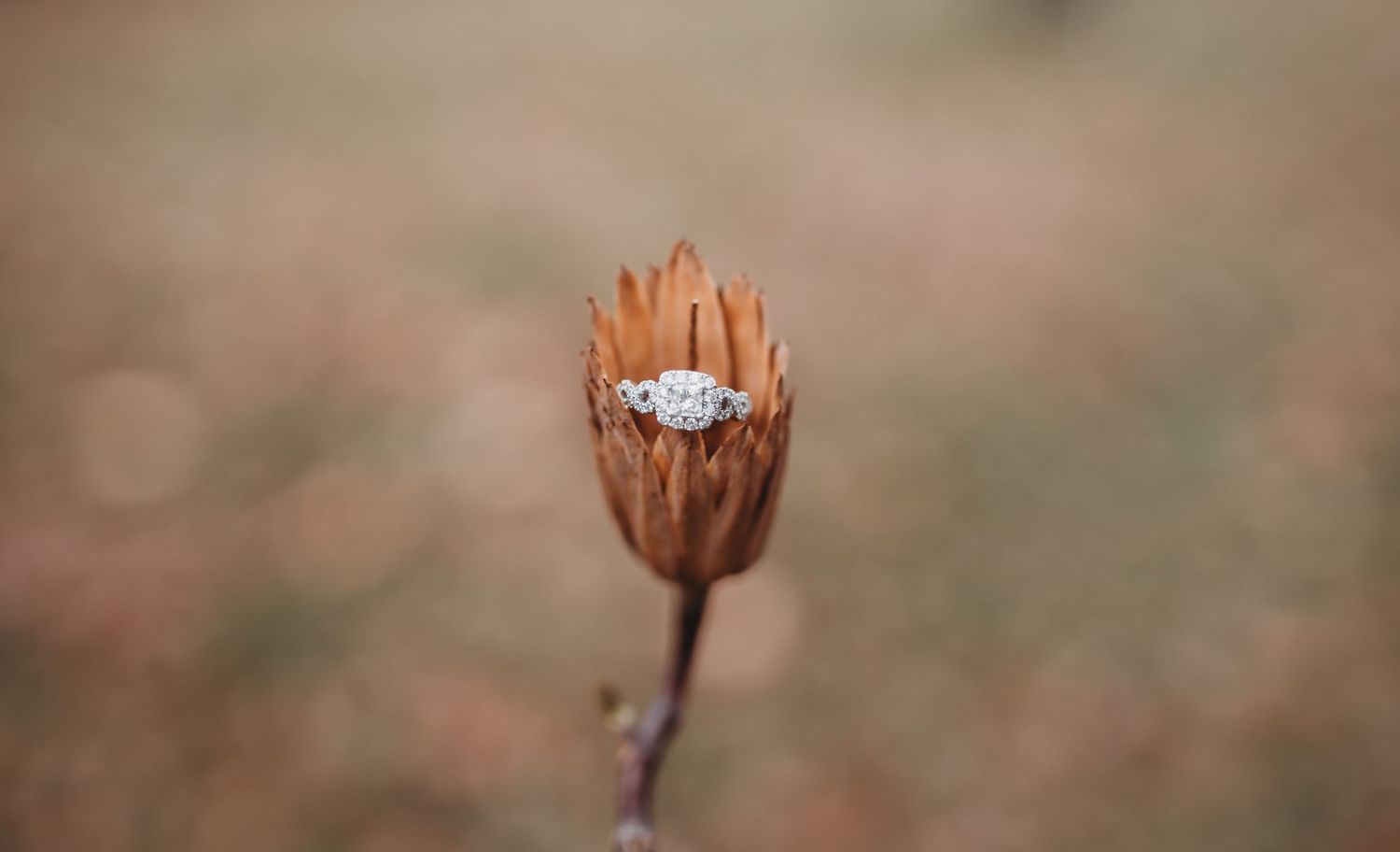 engagement photography in kent park oxford Iowa sage and ivy studio