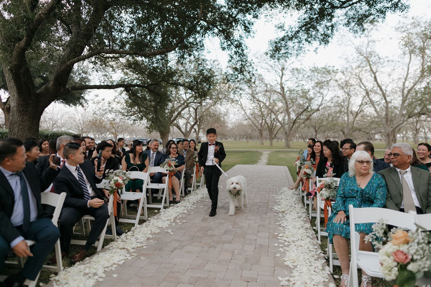 A white dog walks down the aisle during an outdoor wedding ceremony.