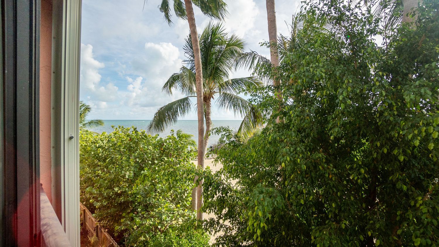 Palm tree silhouettes frame an ocean view through windows.