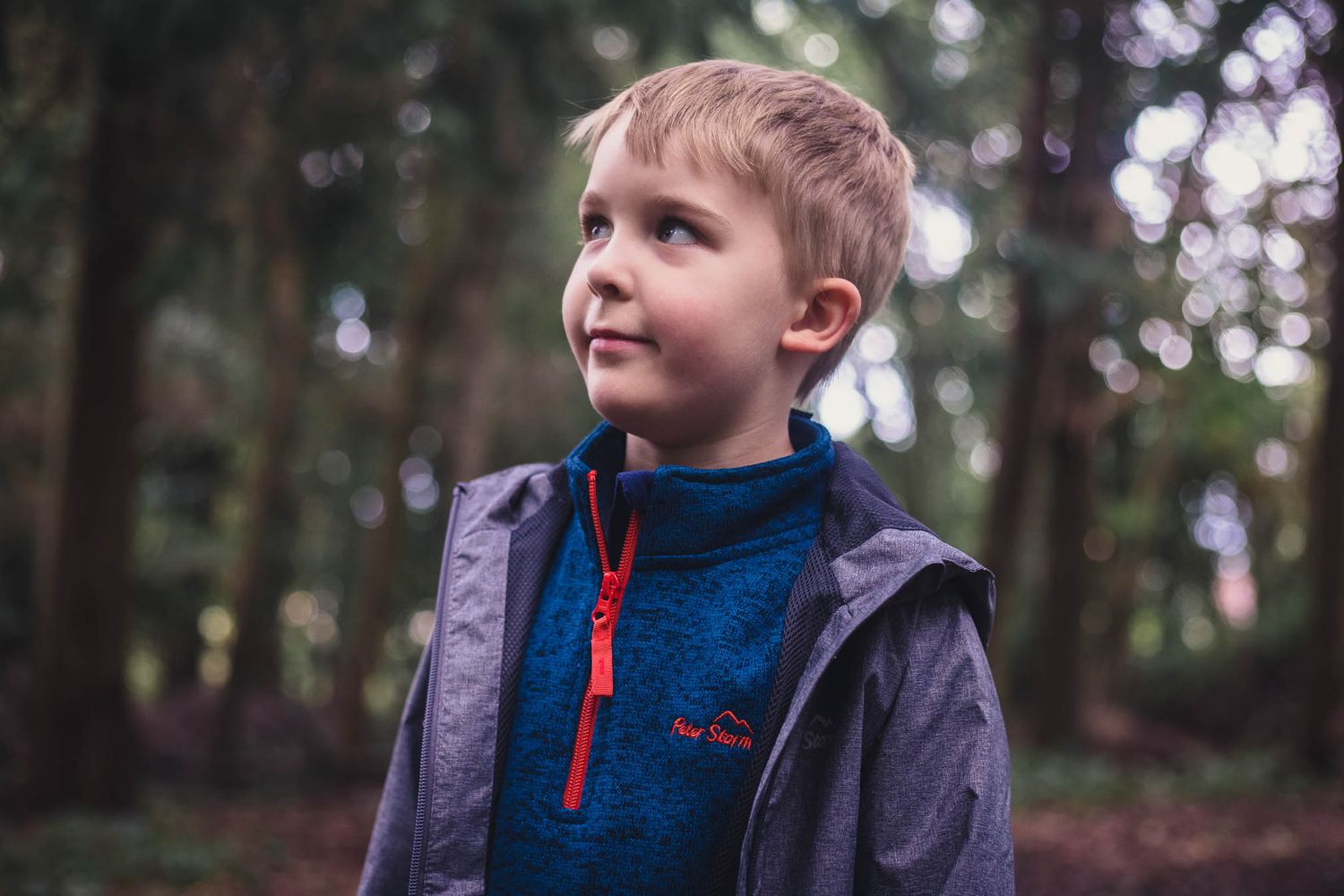 Photo of a child wearing Peter Storm clothing in a forest looking up in to the distance
